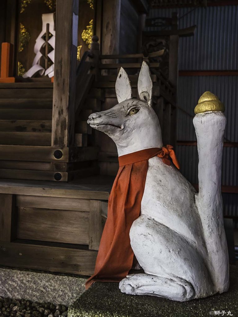 中山稲荷神社（岐阜県中津川市）　拝殿内狛狐