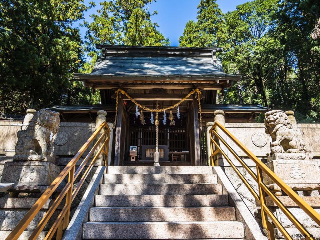 坂本神社八幡宮　狛犬と拝殿
