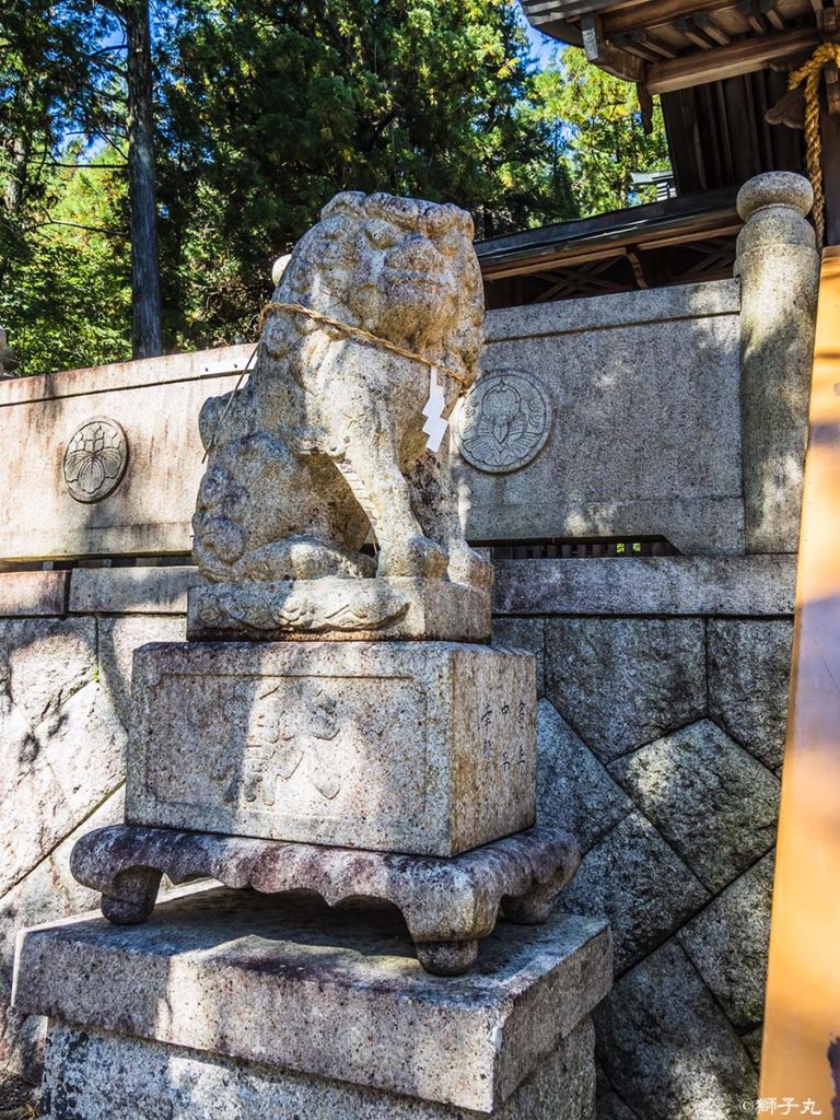 坂本神社八幡宮　狛犬（吽形）