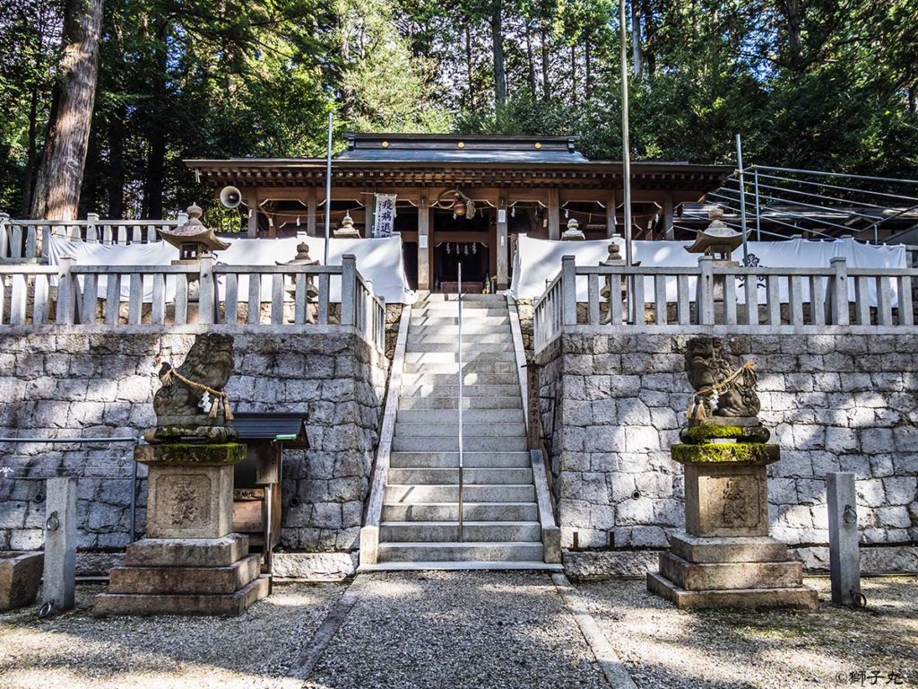 坂本神社諏訪社　狛犬と拝殿