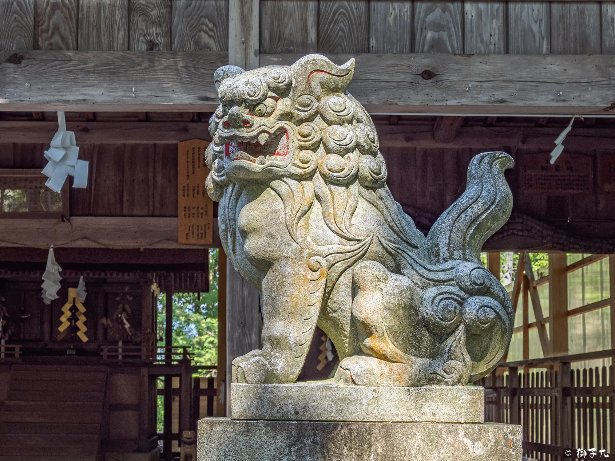 丸山神社（中津川市苗木） | 狛犬（阿形）