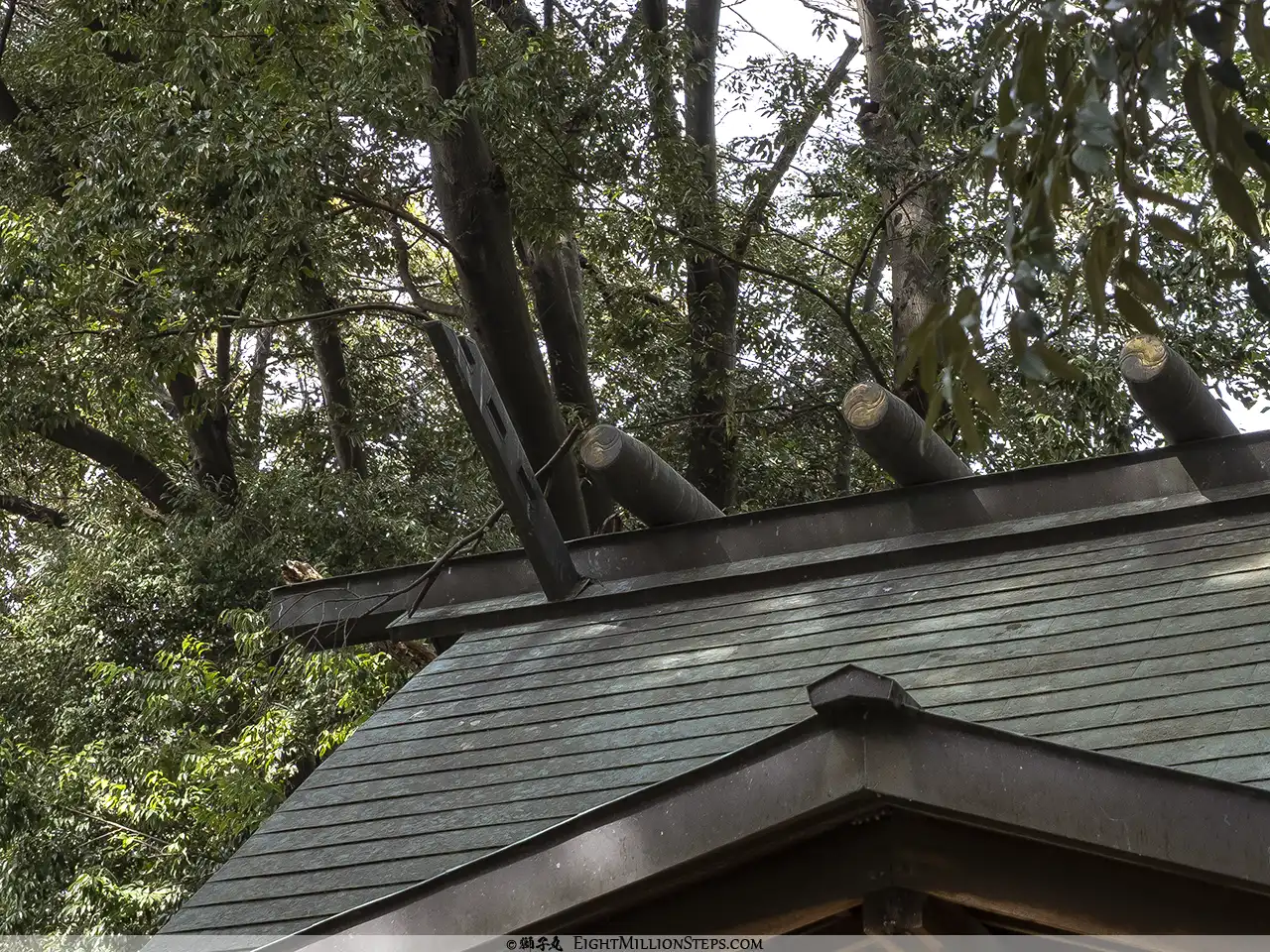 漆部神社 摂社日吉神社 千木
